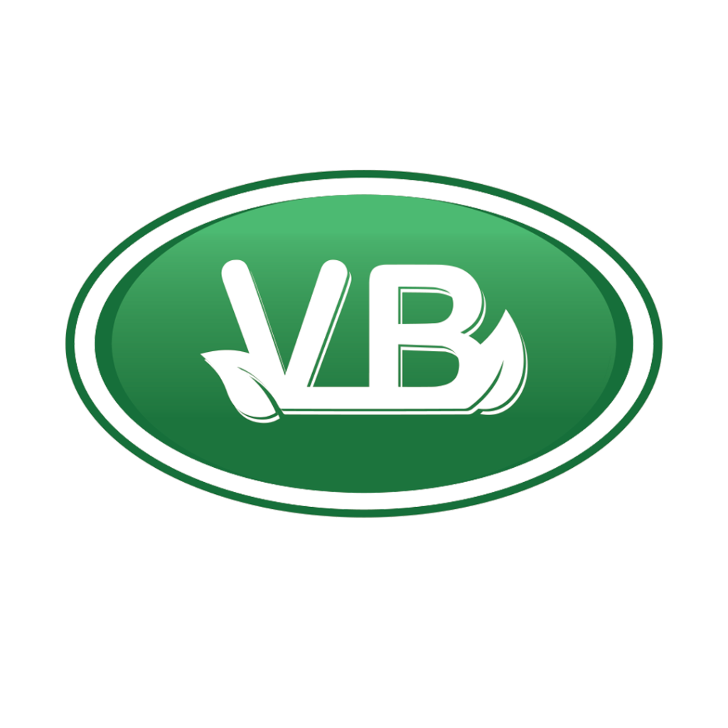 VB Kayam Logo